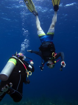 Darrell really likes the diving!